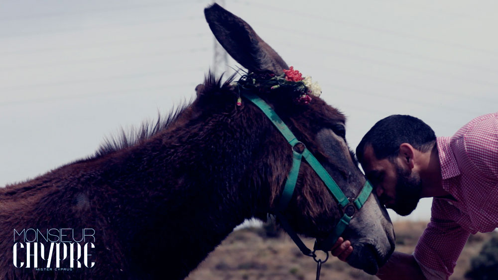 postcard donkey